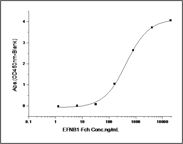Functional Studies - Recombinant human Eph receptor B6 protein (His tag) (AB276223)