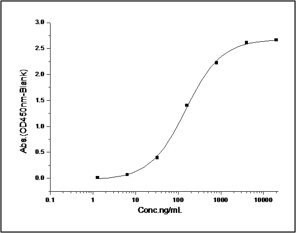 Functional Studies - Recombinant human Ephrin B2 protein (Fc Chimera His Tag) (AB276332)
