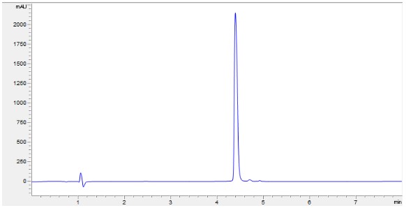 Recombinant human EPO protein (Active)