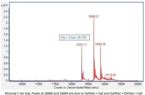 Mass Spectrometry - Recombinant human EPO protein (Active) (AB283908)