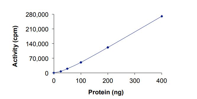 Recombinant human ErbB2 / HER2 (mutated D769Y) protein (Active)