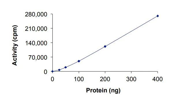 Functional Studies - Recombinant human ErbB2 / HER2 (mutated D769Y) protein (Active) (AB268624)