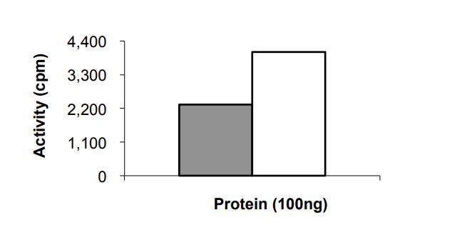 Functional Studies - Recombinant Human ErbB2 / HER2 (mutated E719K) protein (Tagged) (AB268626), expandable thumbnail