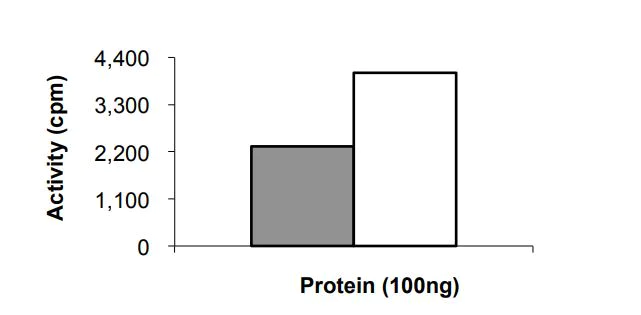 Functional Studies - Recombinant Human ErbB2 / HER2 (mutated E719K) protein (Tagged) (AB268626)