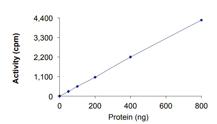 Recombinant human ErbB2 / HER2 (mutated I767M) protein (Active)
