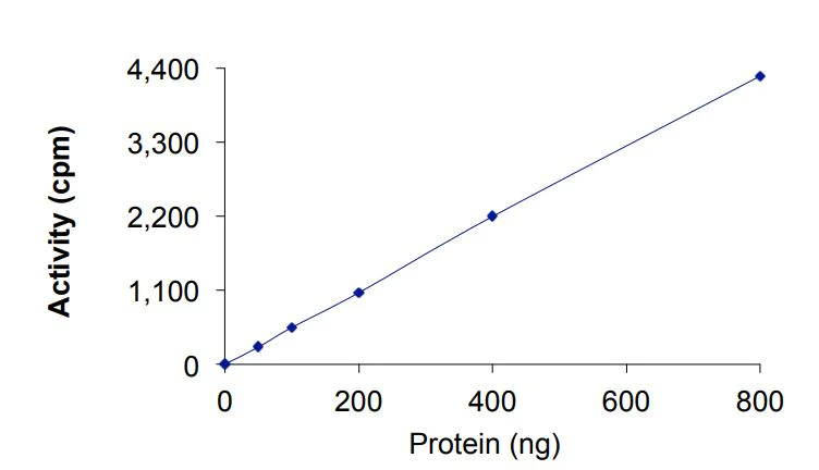 Functional Studies - Recombinant human ErbB2 / HER2 (mutated I767M) protein (Active) (AB268627)