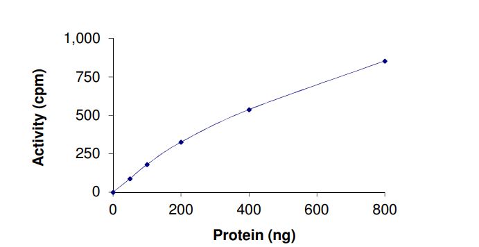 Recombinant human ErbB2 / HER2 (mutated L755S) protein (Active)