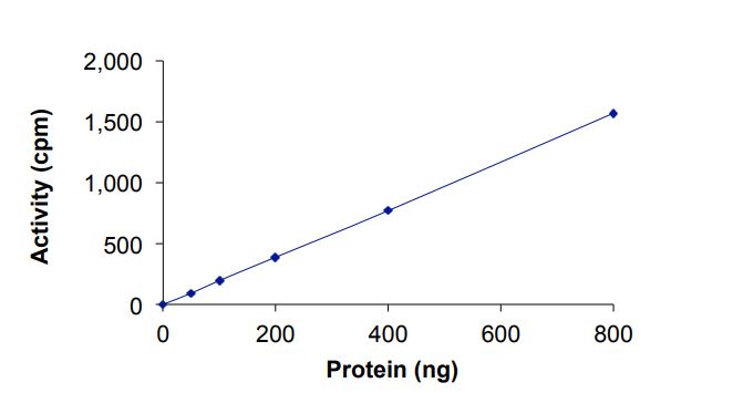 Functional Studies - Recombinant human ErbB2 / HER2 (mutated L755W) protein (Active) (AB268629)