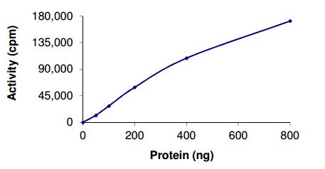 Functional Studies - Recombinant human ErbB2 / HER2 (mutated V777L) protein (AB207945), expandable thumbnail