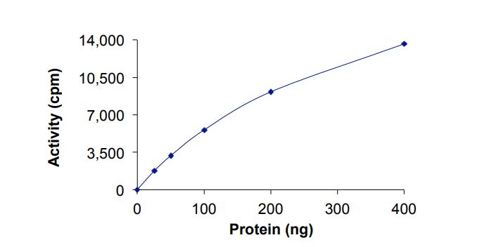 Recombinant human ErbB2 / HER2 (mutated V842I) protein (Active)