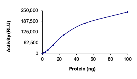 Functional Studies - Recombinant human ErbB2 / HER2 protein (AB190418), expandable thumbnail