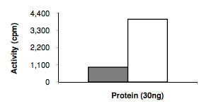 Functional Studies - Recombinant human ErbB2 / HER2 protein (AB190418), expandable thumbnail