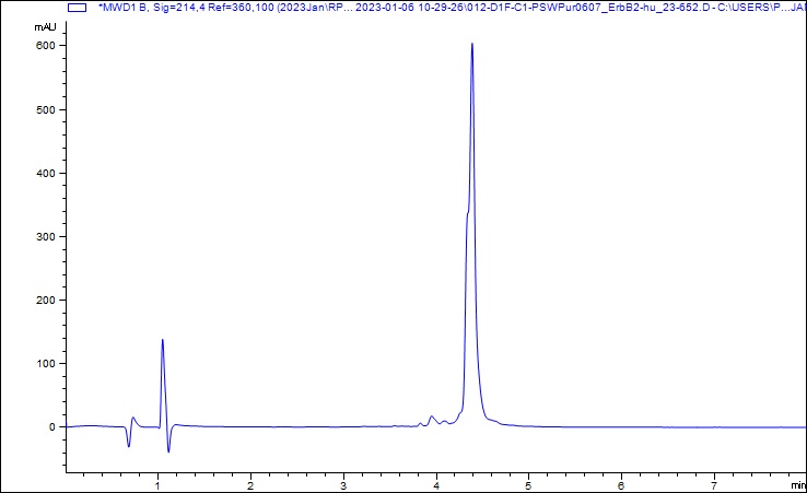 HPLC - Recombinant Human ErbB2 / HER2 protein (AB310794)