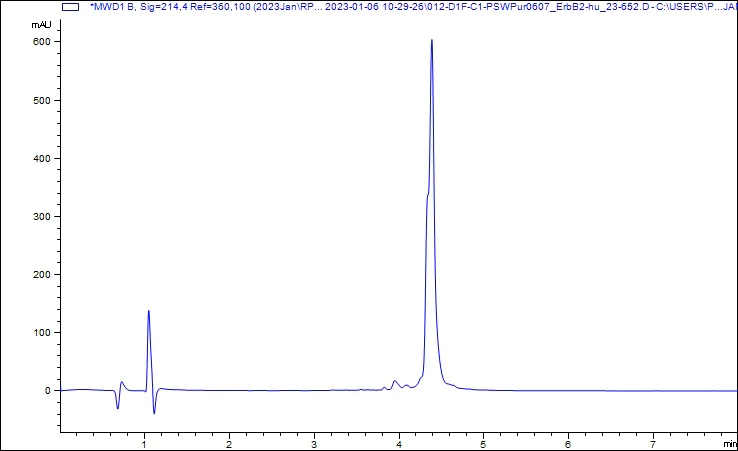 HPLC - Recombinant Human ErbB2 / HER2 protein (AB310794)
