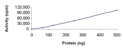 Functional Studies - Recombinant human ErbB2 / HER2 protein (Active) (GST tag N-Terminus) (AB60866)