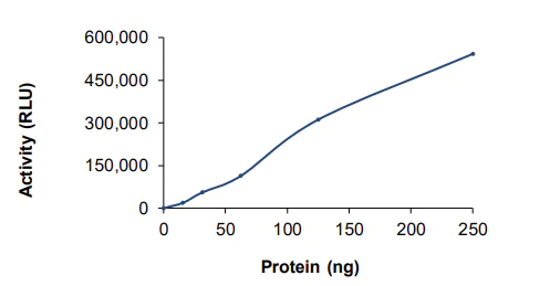 Functional Studies - Recombinant human ErbB2 / HER2 protein (Active) (GST tag N-Terminus) (AB60866)