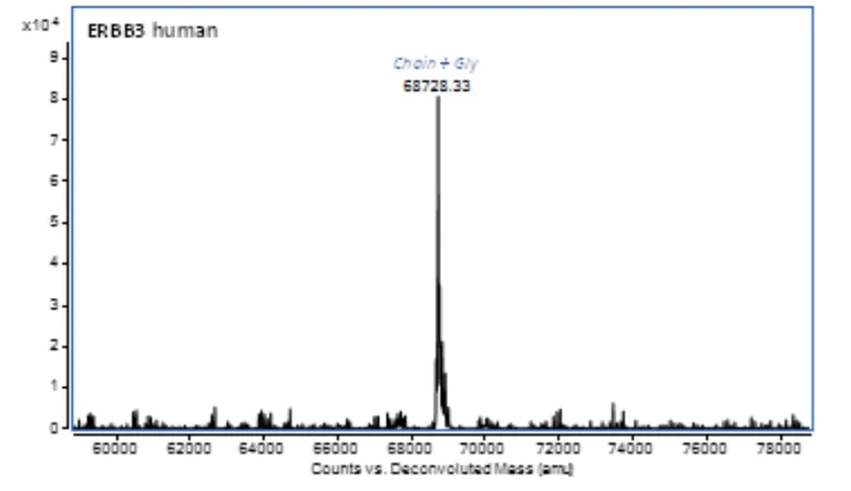 Mass Cytometry - Recombinant human ErbB3 / HER3 protein (AB283452)