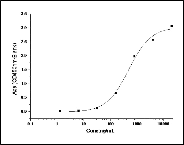 Recombinant human ErbB3 / HER3 protein (Fc Chimera)