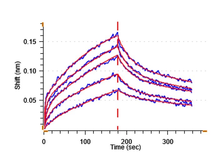 Biological Activity - Recombinant Human ErbB3 / HER3 protein (Fc Chimera) (Active) (AB307190)