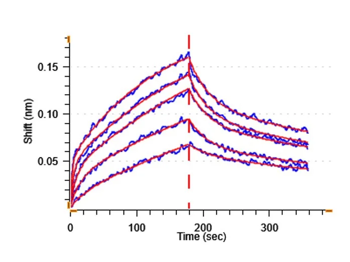 Functional Studies - Recombinant Human ErbB3 / HER3 protein (Fc Chimera) (Active) (AB307190)