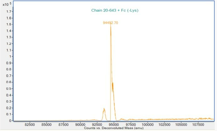 Mass Spectrometry - Recombinant Human ErbB3 / HER3 protein (Fc Chimera) (Active) (AB307190)