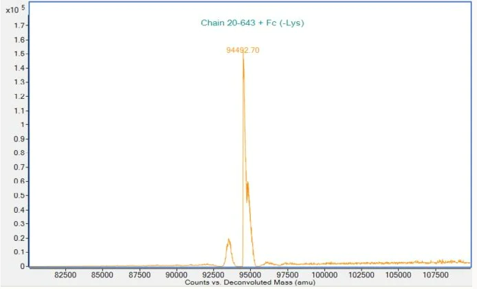 Mass Spectrometry - Recombinant Human ErbB3 / HER3 protein (Fc Chimera) (Active) (AB307190)