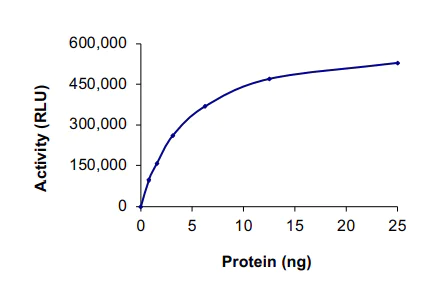 Functional Studies - Recombinant human ErbB4 / HER4 protein (AB85602)