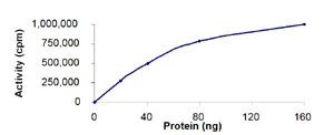 Functional Studies - Recombinant human ErbB4 / HER4 protein (AB85602)