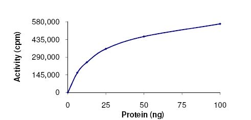 Functional Studies - Recombinant human ERK1 protein (AB105904), expandable thumbnail