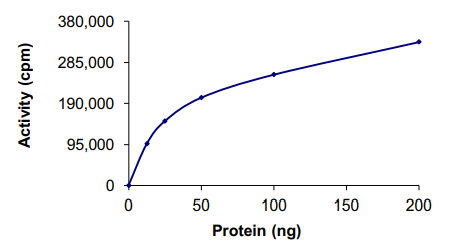 Functional Studies - Recombinant human ERK1 protein (AB105904), expandable thumbnail