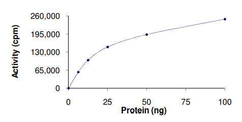 Functional Studies - Recombinant human ERK2 protein (GST tag N-Terminus) (AB155812)