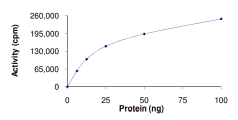 Functional Studies - Recombinant human ERK2 protein (GST tag N-Terminus) (AB155812)