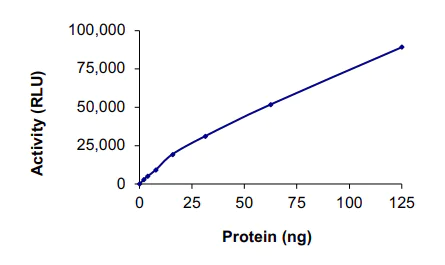 Functional Studies - Recombinant human ERK5 protein (AB126913)