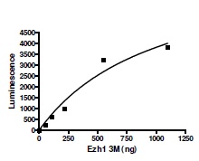 Recombinant human EZH1 + EED + SUZ12 protein