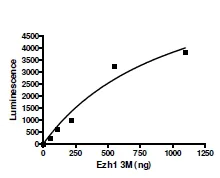 Functional Studies - Recombinant human EZH1 + EED + SUZ12 protein (AB196395)