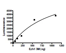 Functional Studies - Recombinant human EZH1 + EED + SUZ12 protein (His tag N-Terminus, DDDDK tag N-Terminus) (AB196395)