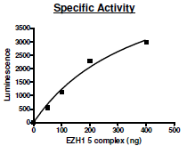 Functional Studies - Recombinant human EZH1 + EED + SUZ12 + RBBP4 + AEBP2 protein (Active) (AB196413), expandable thumbnail