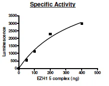 Functional Studies - Recombinant human EZH1 + EED + SUZ12 + RBBP4 + AEBP2 protein (Active) (His N-Term, DDDDK N-Term) (AB196413)