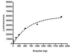 Functional Studies - Recombinant human EZH2 + EED + SUZ12 + AEBP2 + RBBP4 protein (6x His tag N-Term, DDDDK tag N-Term) (AB198146)