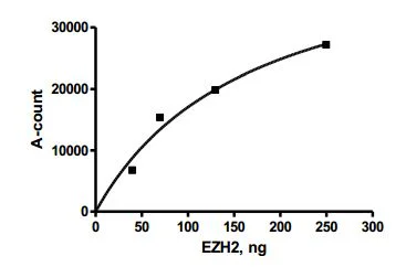 Functional Studies - Recombinant human EZH2 + EED + SUZ12 protein (6x His tag N-Terminus, DDDDK tag N-Terminus) (AB196409)