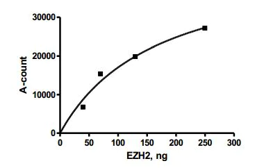 Functional Studies - Recombinant human EZH2 + EED + SUZ12 protein (AB196409)