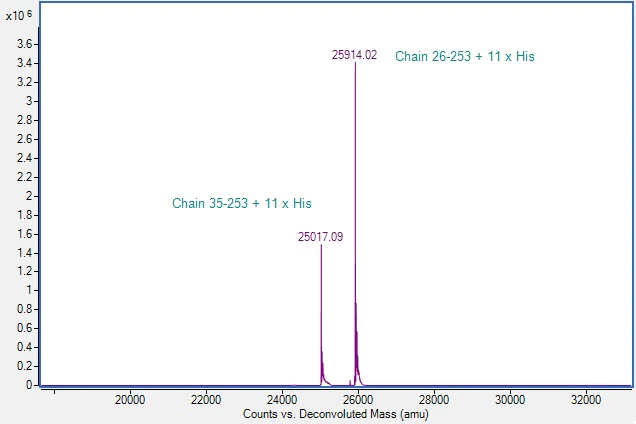 Mass Spectrometry - Recombinant Human Factor D/CFD Protein (His tag) (Active) (AB307479)