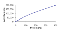 Functional Studies - Recombinant human FAK protein (AB105909), expandable thumbnail