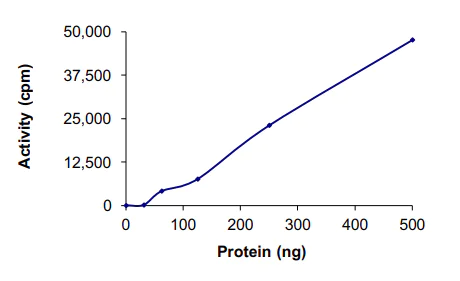 Functional Studies - Recombinant human FAK protein (AB105909)