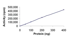 Functional Studies - Recombinant human FAK protein (AB60852)