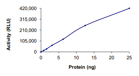 Recombinant human FAK protein