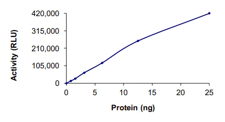 Functional Studies - Recombinant human FAK protein (AB60852)