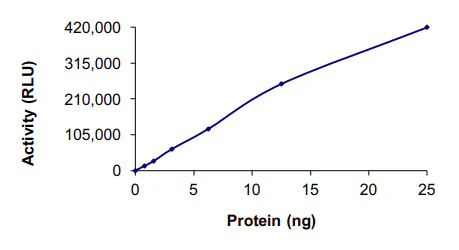 Functional Studies - Recombinant human FAK protein (His tag N-Terminus) (AB60852)
