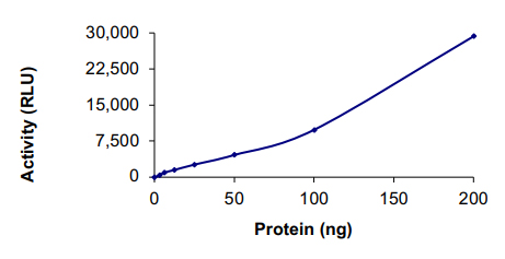 Functional Studies - Recombinant human FASTK protein (AB131693)
