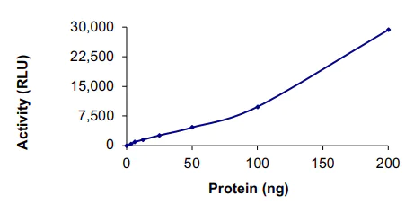 Functional Studies - Recombinant human FASTK protein (AB131693)